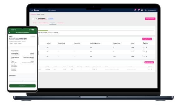 rapportering vector.001